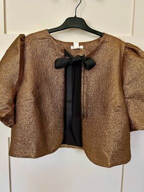 Blouse jacket top Gold-tone puff sleeves H&M